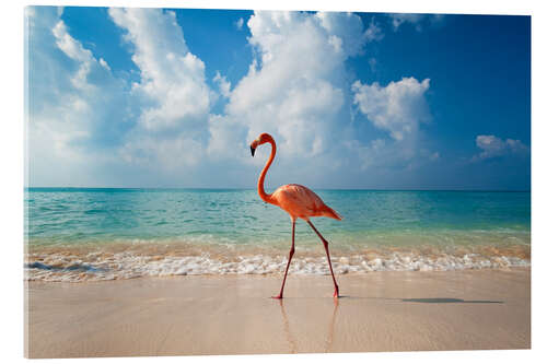 Akrylbilde Flamingo on the beach