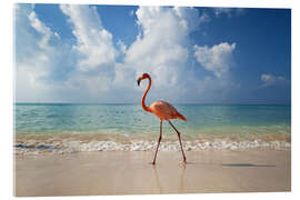 Akrylglastavla  Flamingo on the beach - Ian Cuming