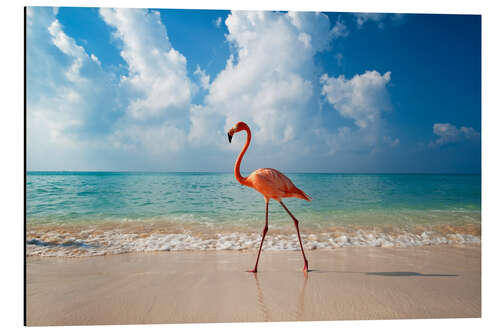 Alubild Flamingo am Strand