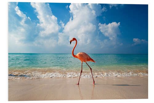 Foam board print Flamingo on the beach