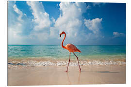 Gallery print Flamingo on the beach