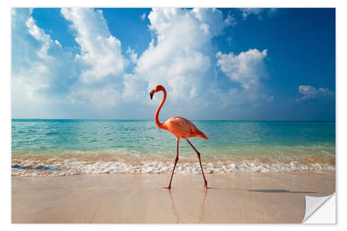 Selvklebende plakat Flamingo on the beach