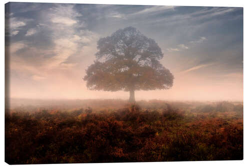 Canvas print New Forest