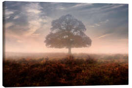 Canvas print New Forest