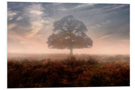 PVC print New Forest