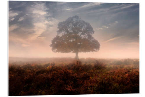 Galleriprint New Forest