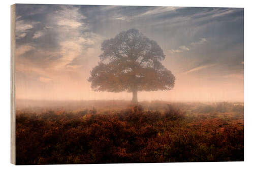 Holzbild New Forest