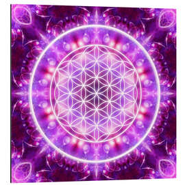 Aluminium print Flower of Life, transformation