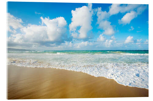 Acrylic print Maui Island