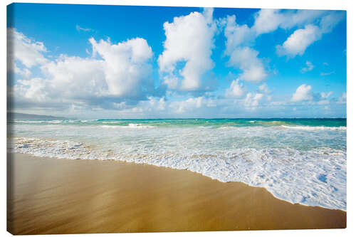 Canvas print Maui Island