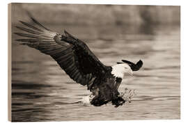 Holzbild Weißkopfseeadler bei der Jagd