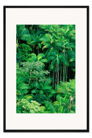 Gerahmter Kunstdruck Üppiger Regenwald