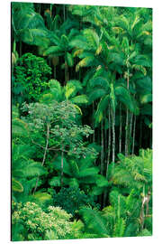 Magnettafel Üppiger Regenwald