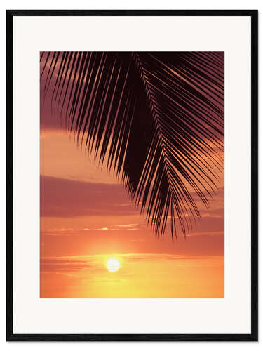 Innrammet kunsttrykk Palm evening