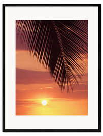 Innrammet kunsttrykk Palm evening
