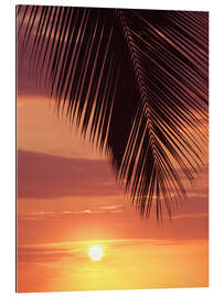 Gallery print Palm evening