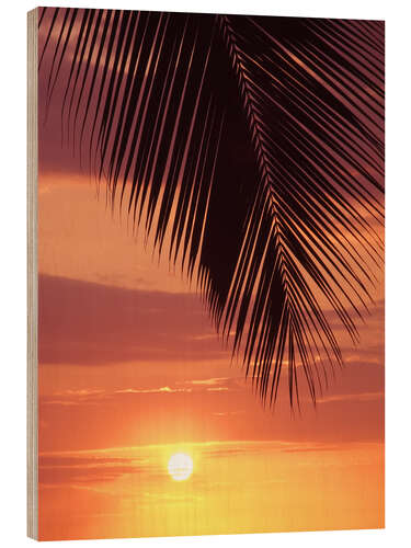 Wood print Palm evening