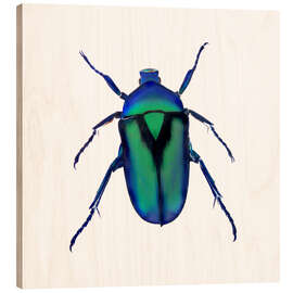 Stampa su legno Green Beetle