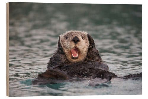 Quadro de madeira Otter