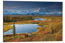 Quadro em alumínio Caribou at Mt. McKinley