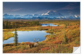 Selvklebende plakat Caribou at Mt. McKinley