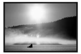 Gerahmter Kunstdruck Wolf im Nebel