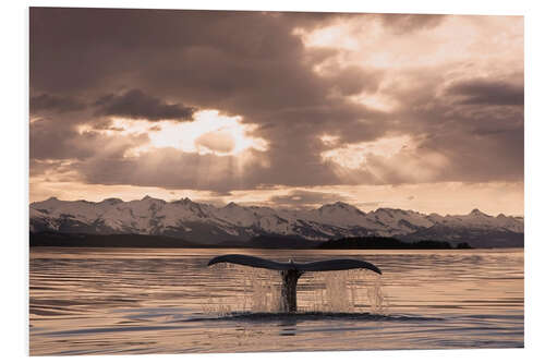 PVC-taulu Humpback Whale at dusk