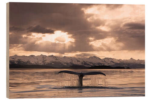 Cuadro de madera Ballena jorobada en el atardecer