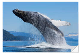 Muursticker Jumping Humpback Whale