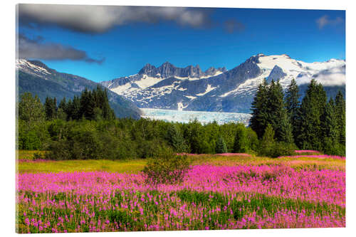 Acrylglas print Mendenhall Glacier