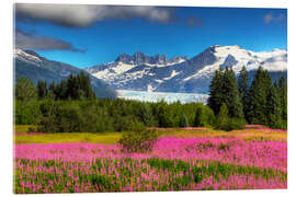 Akryylilasitaulu Mendenhall Glacier