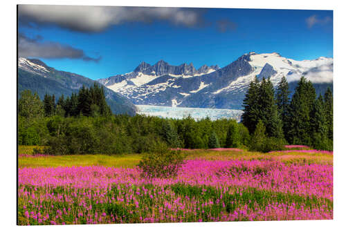 Aluminium print Mendenhall Glacier