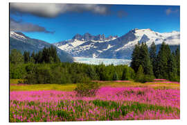 Obraz na aluminium Mendenhall Glacier