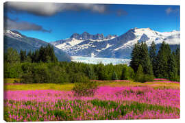 Canvas print Mendenhall Glacier