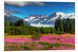 Foam board print Mendenhall Glacier