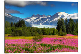 Gallery print Mendenhall Glacier