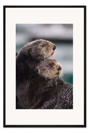 Gerahmter Kunstdruck Verschmuste Otter