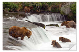 Wall sticker Grizzly in Katmai National Park