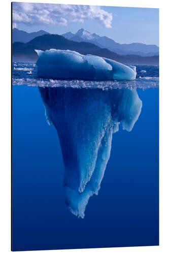 Stampa su alluminio Tip of the iceberg