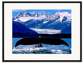 Gerahmter Kunstdruck Flosse eines Buckelwals