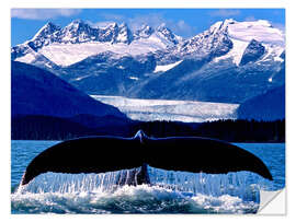 Muursticker Fin of a humpback whale