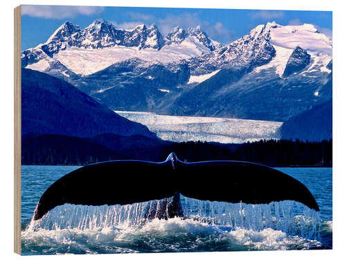 Stampa su legno Fin of a humpback whale