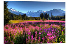 Foam board print Scenic view of Mendenhall Glacier