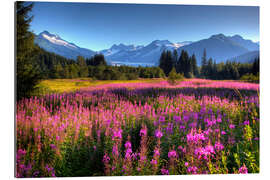 Gallery print Scenic view of Mendenhall Glacier