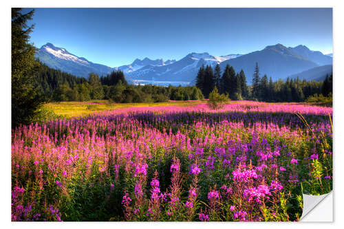 Autocolante decorativo Scenic view of Mendenhall Glacier