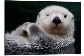 Galleriprint Sleepy Sea Otter