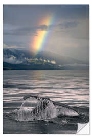 Naklejka na ścianę Humpback whale fin off Alaska