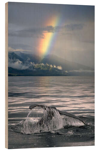 Wood print Humpback whale fin off Alaska