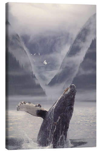 Tableau sur toile Baleine à bosse devant des montagnes brumeuses