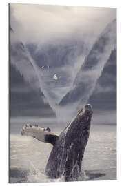 Gallery print Humpback whale emerging